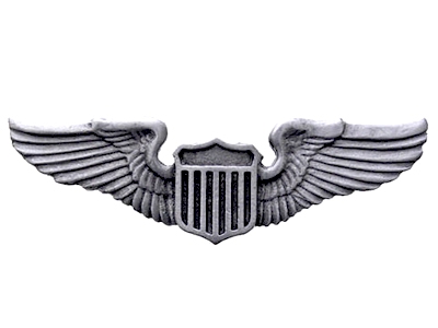 USAF Wing Nikel Kaplama Rozet  SRY-200014